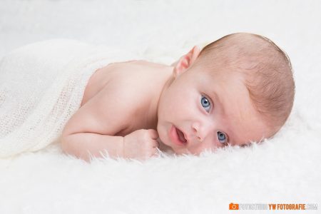 newborn fotografie wijchen beuningen
